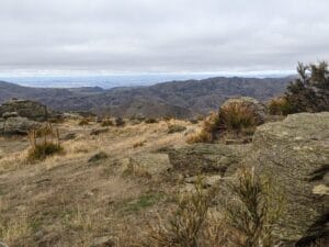 adventurefuel nevis trip brush in alpine desert