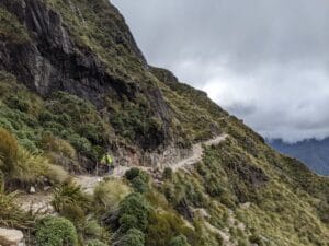 the old ghost road trail