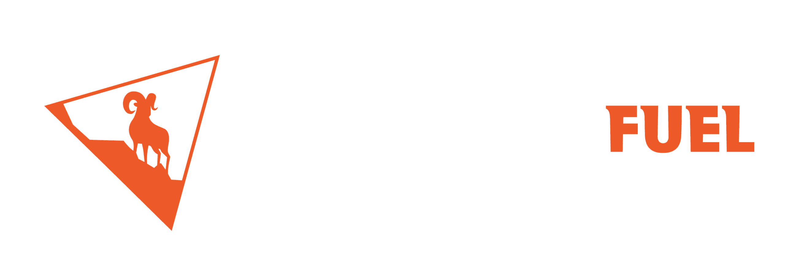 Adventurefuel Bike guiding logo