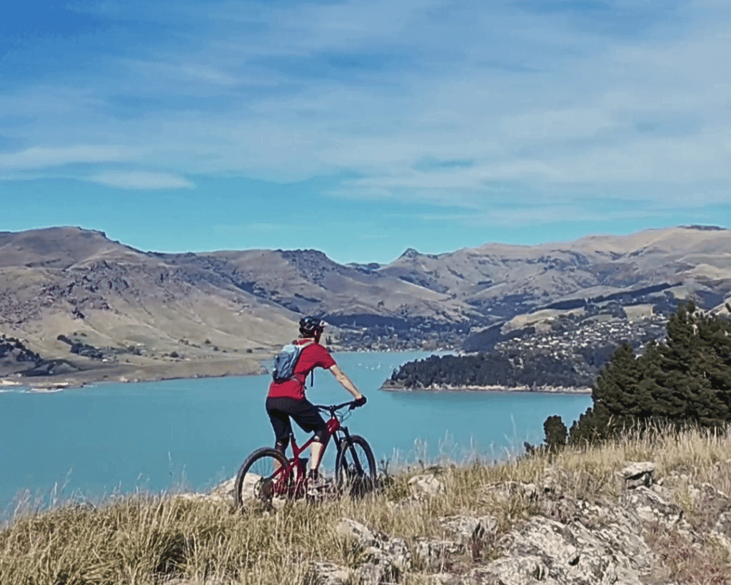 mtb rider in Port Hills Christchurch